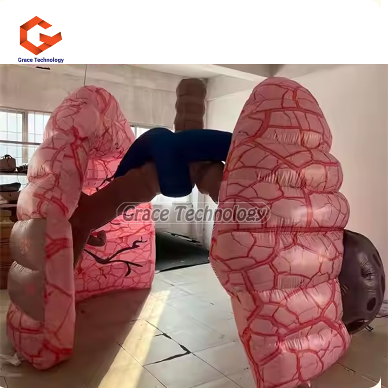 Giant Inflatable Lung Medical Exhibits Advertising Large Inflatable Human Organs Model Replica for School Teaching