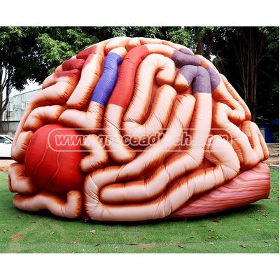 Custom-made Inflatables,Inflatable Sculptures,inflatable products replicas