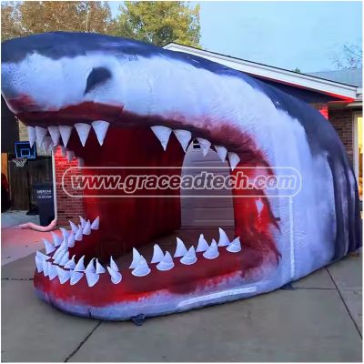 Artist Inflatables,Blow-up Advertising Inflatables,Cold Air Advertising Inflatables